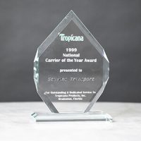 Image of 1999 Tropicana National Carrier of the Year award