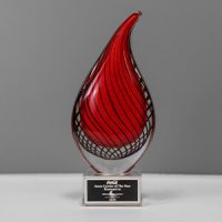 Image of the 2024 Coca Cola Award